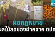 擅自携带外国新鲜水果入境属违法行为,可能会被处罚哦